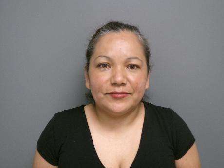 Sanjuana Ramirez-Perez - NO OPERATORS LICENSE, T.V IN VIEW OF DRIVE