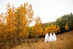 Post Podcast: Kman's Concert Calendar, weekend of Oct. 23