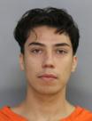 LUIS ANGEL FIGUEROA AGUILAR - Operate Motor Vehicle, Avoid Arrest