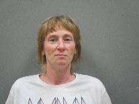 Sarah Nicole Martin - Theft Shoplifting, Disturbing The Peace, No Proof of Insurance, Neglect of Child