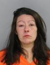 ELIZABETH DAWN HENSLEY - DUI 2nd Offense, Refusal to Pretest, Failure to Stop, Willful Reckless Driving