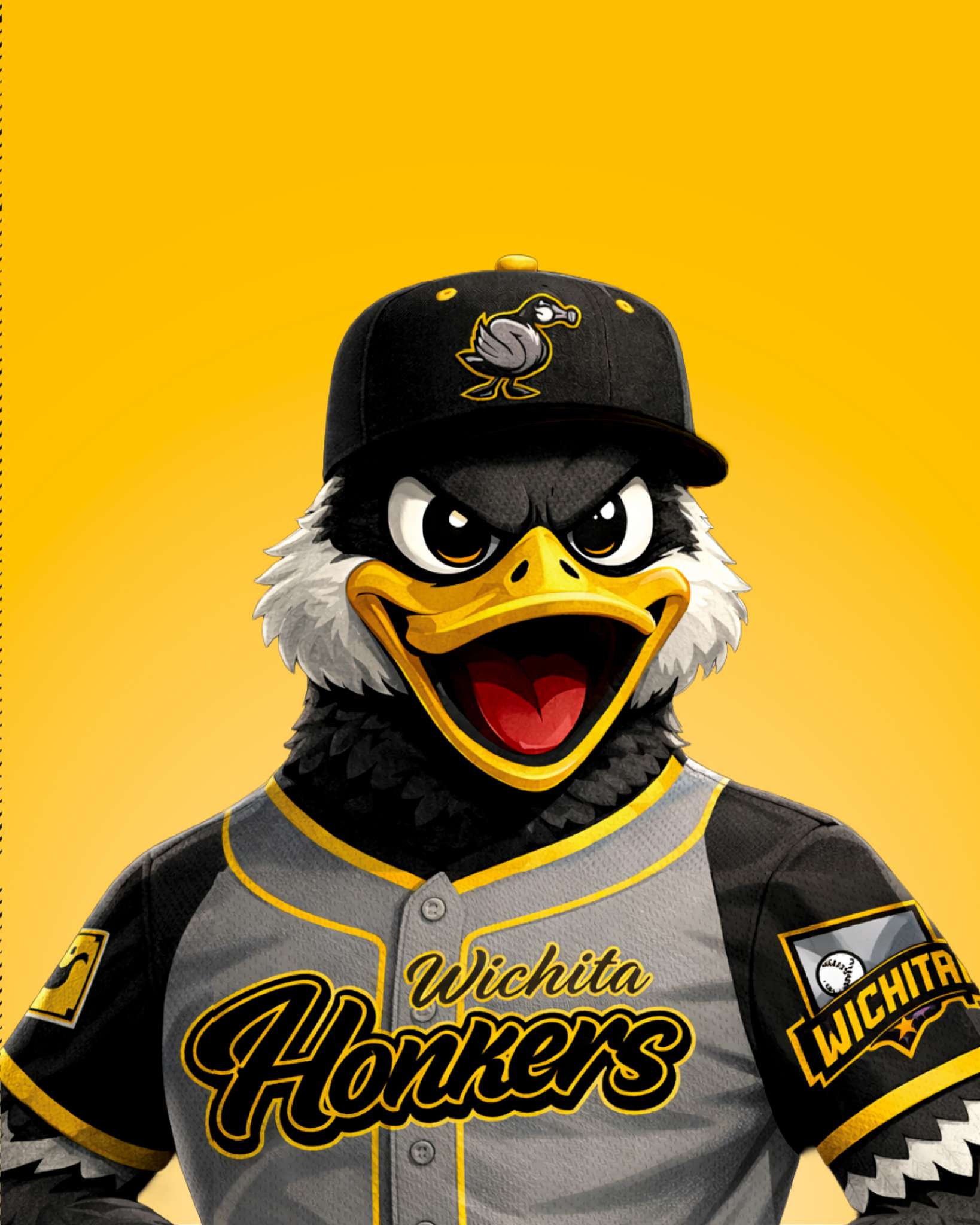 Photo Courtesy Wichita Wind Surge