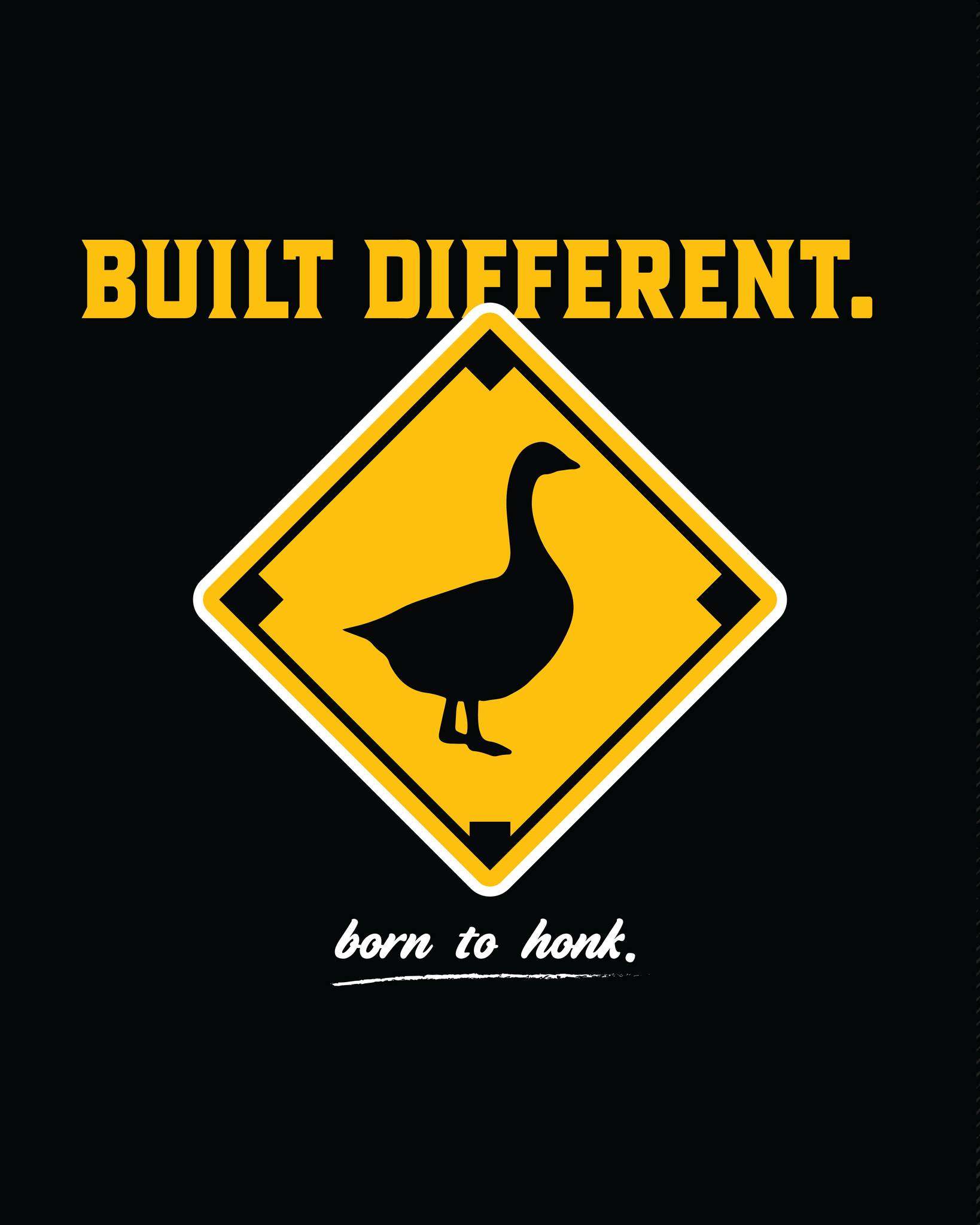 Photo Courtesy Wichita Wind Surge