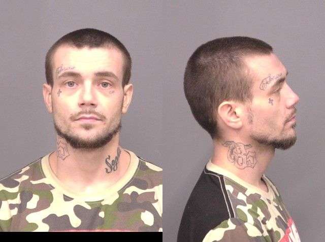 Hulse,Johnathan Michael (25). Photo by the Saline County Sheriff's Office