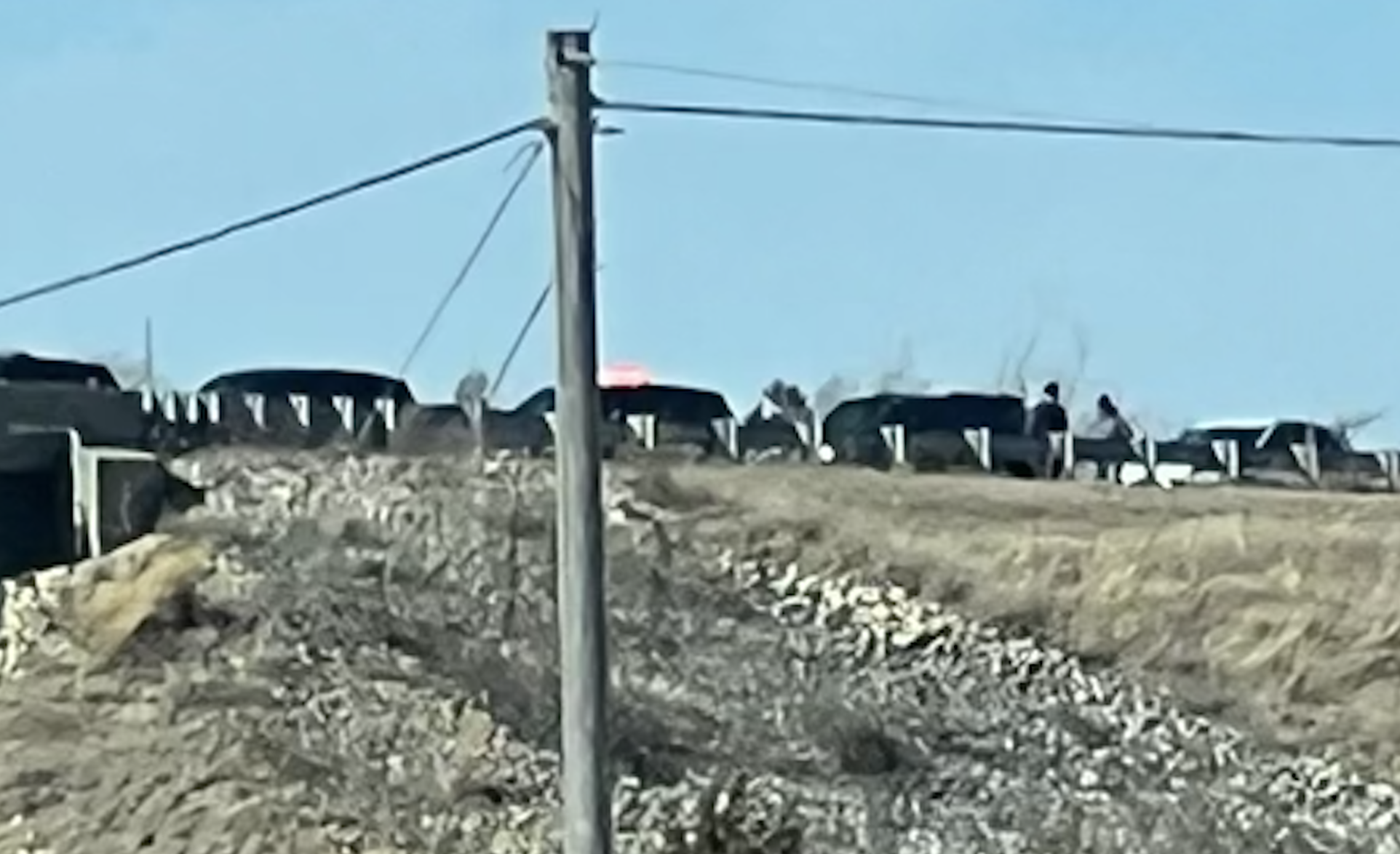 Photo By Sean Boston