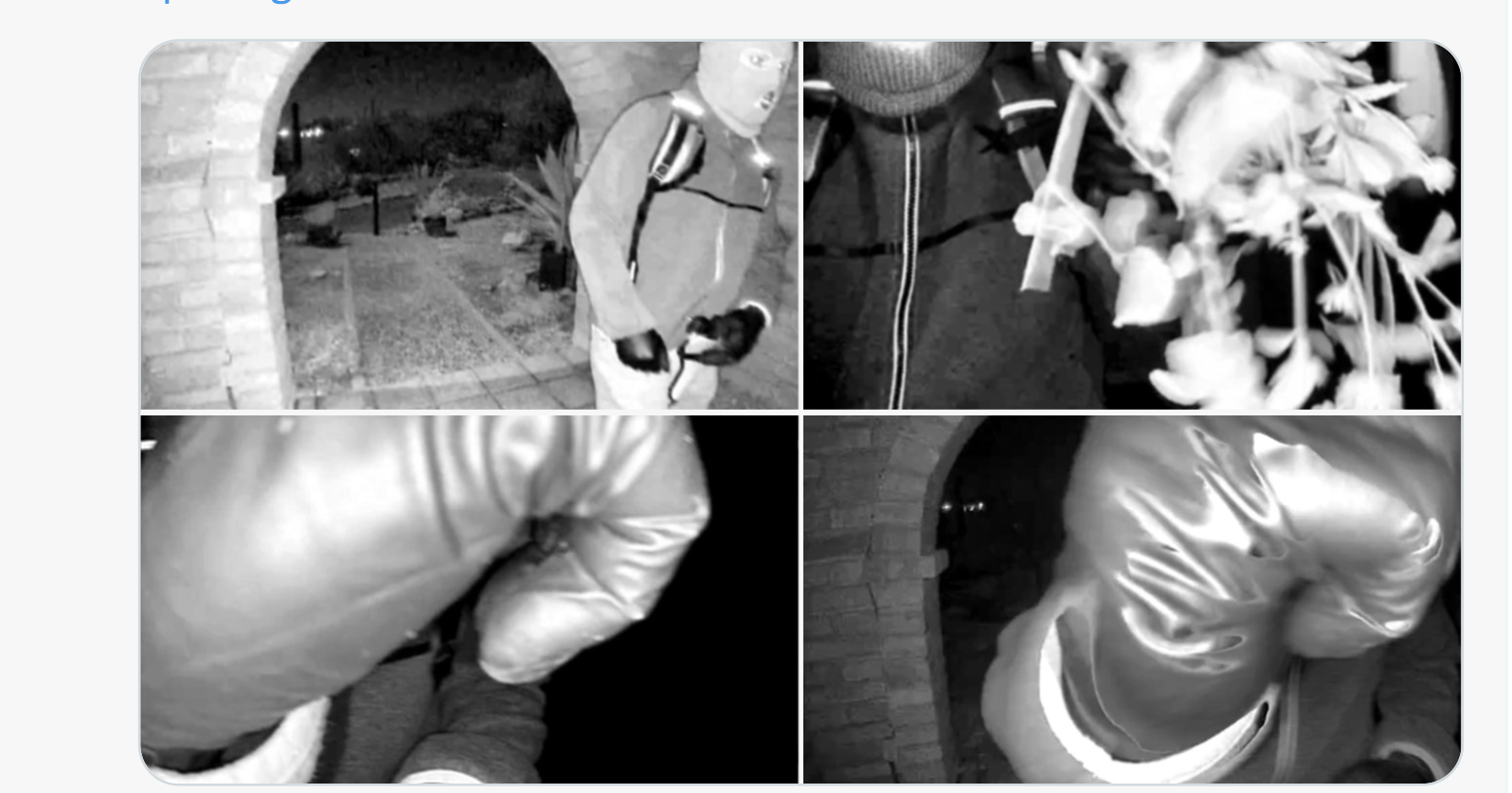 Images from home security camera at the Guthrie home -FBI