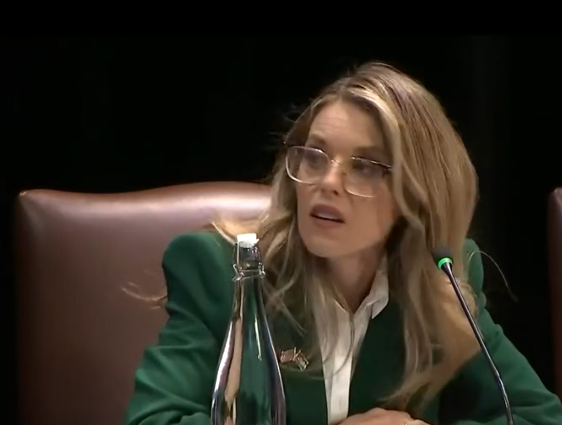 Carrie Prejean Boller and members of the Religious LIberty Commission held a hearing this week on Antisemitism-image courtesy CSPAN