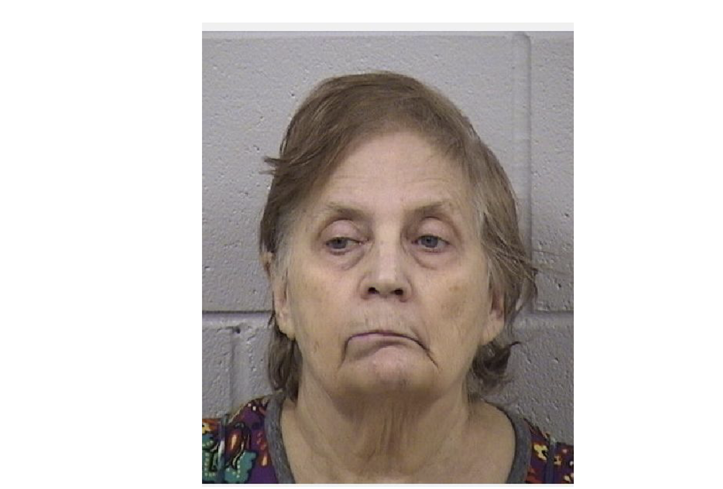 Bishop-photo Dickinson County