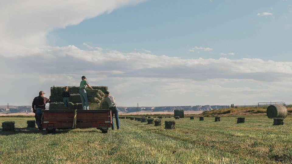 Farmer Racking Square Bales