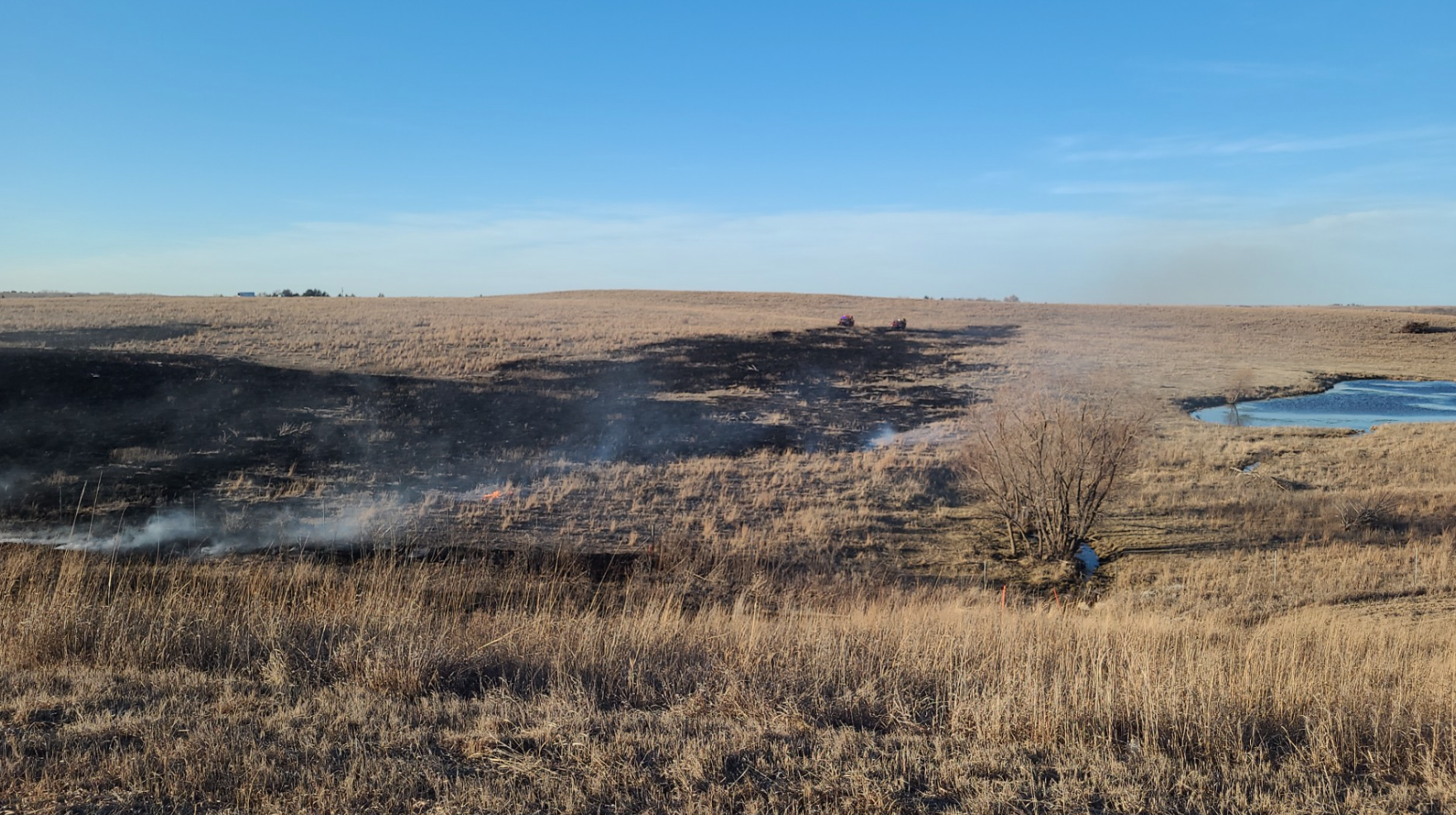 Photo by Saline County Sheriff's Office