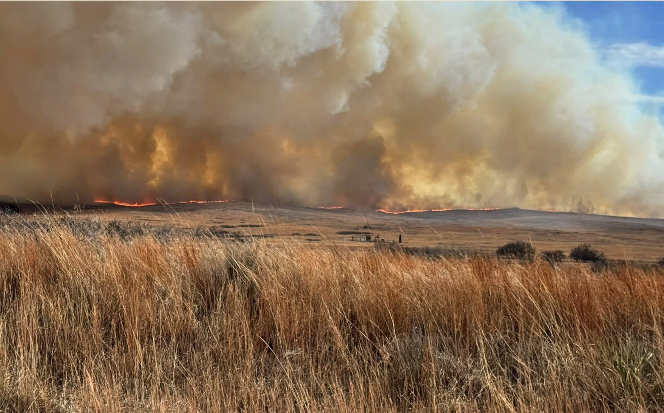 Photos&nbsp;<a href="https://www.facebook.com/emily.brosius.79?__cft__[0]=AZZ0x5kebWoA70WswpH37GaRt4l1zYOjfmPNPCLmyhlxOZvTz2K4EBQRY4UF5Dp6qboVp0EA6CuuVHgX1ROA88Wym67ObWEA5MzUqfZ4RQ6rVmMrldxKxyqB1fr37ZsAeg7ibV1YdtCR_9flaGrFivQ-CemyIRjlh163FC54DrH4ULEDzOh_nrE4HHo2vYvN9V8&amp;__tn__=R-R">Emily Brosius</a>, Commanche County Sheriff's office