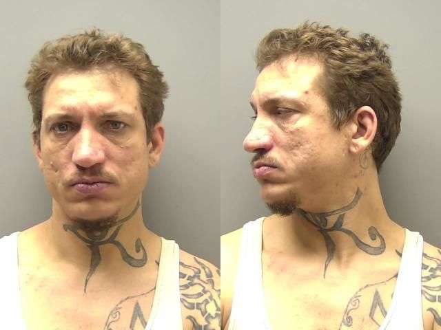 BULLA TERRY DOM ASSAULT NO BOND