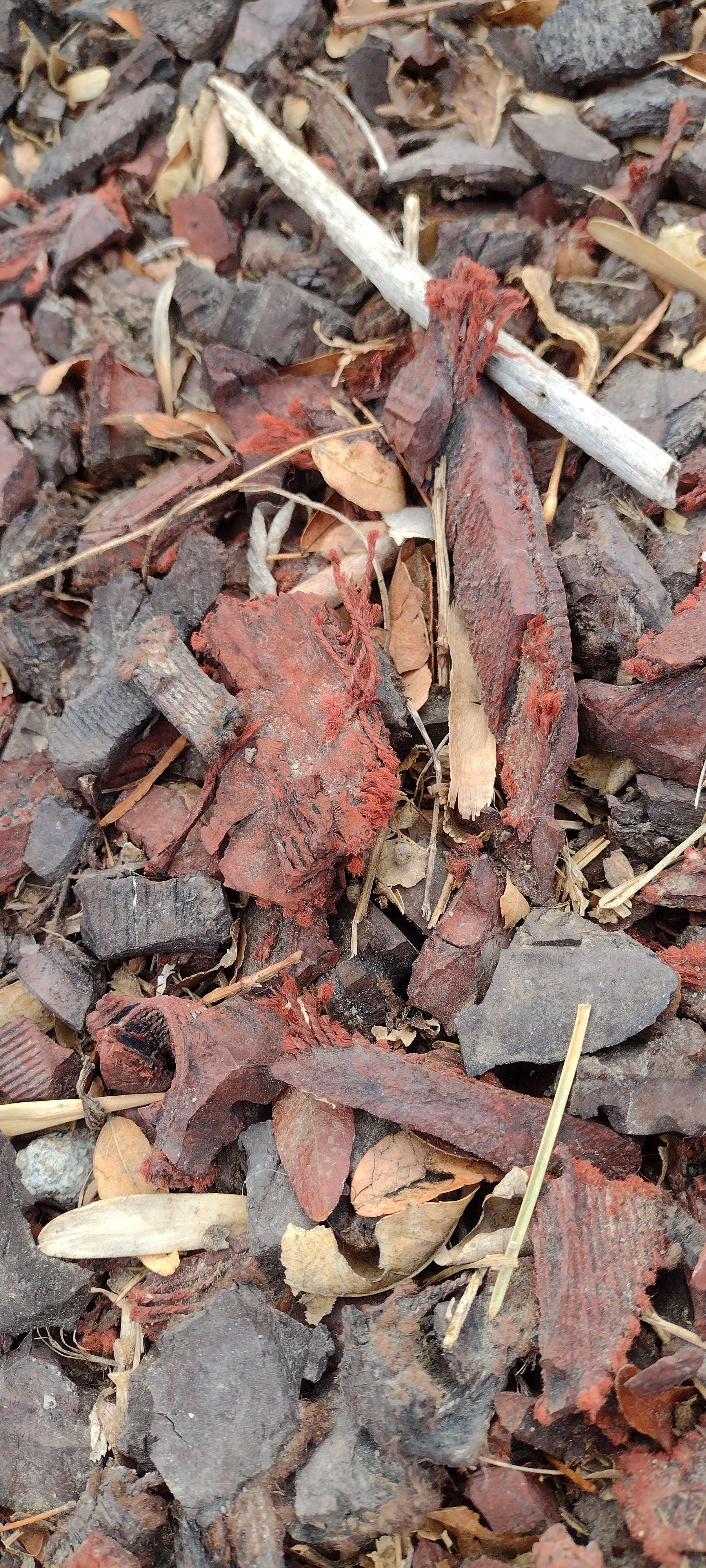 KAB rubber mulch (courtesy John Weare, KAB).