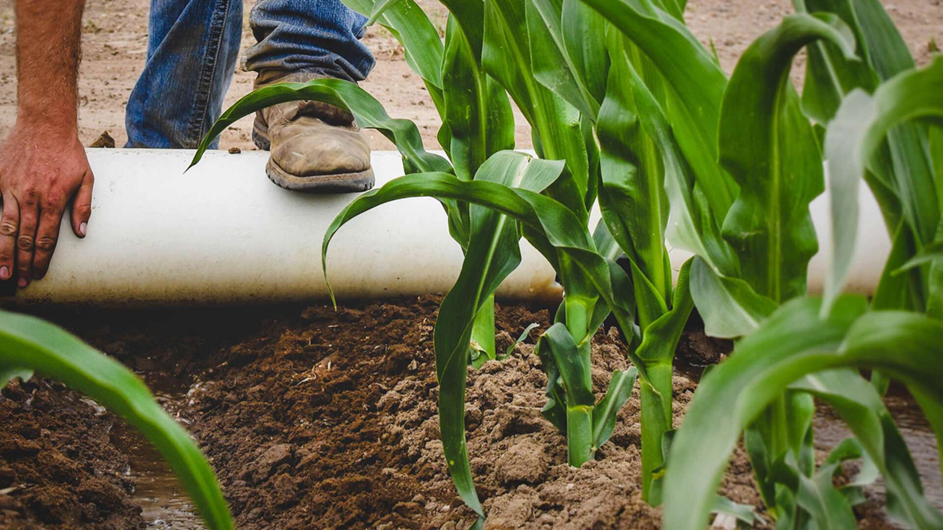 An outlook on snowpack and expected spring rainfall will be held on March 2. Photo by Ryan Evans