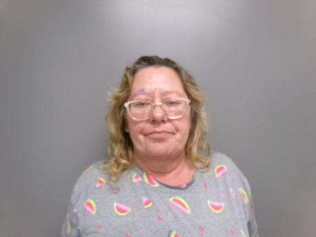 <b>Brandy Renae Freeman - Failure to Pay-Buffalo County Warrant</b>