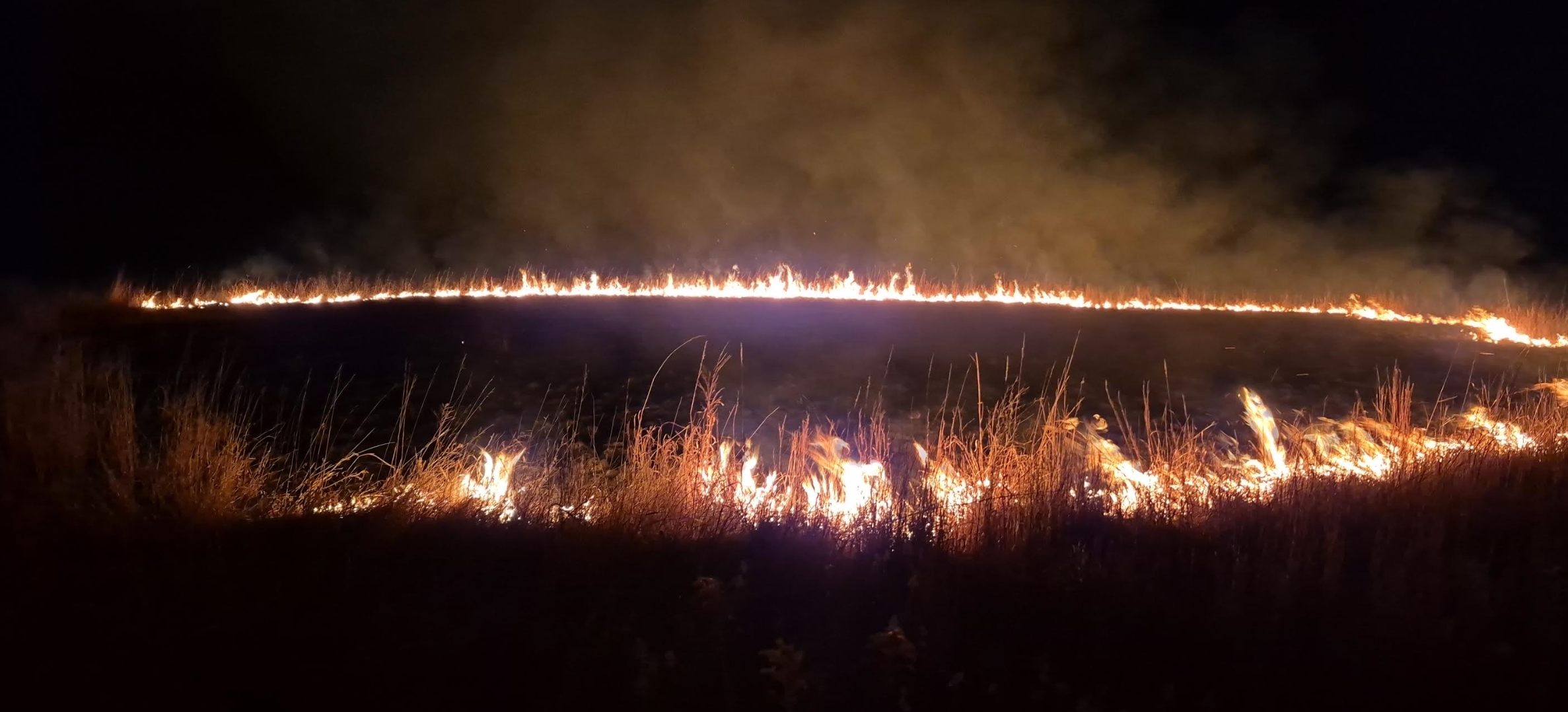 Feb. 26 evening fire was a grass fire that occurred in a walk-in-hunting area on the NE corner of Magnolia and Simpson. Courtesy of Saline County Sheriff's Office.