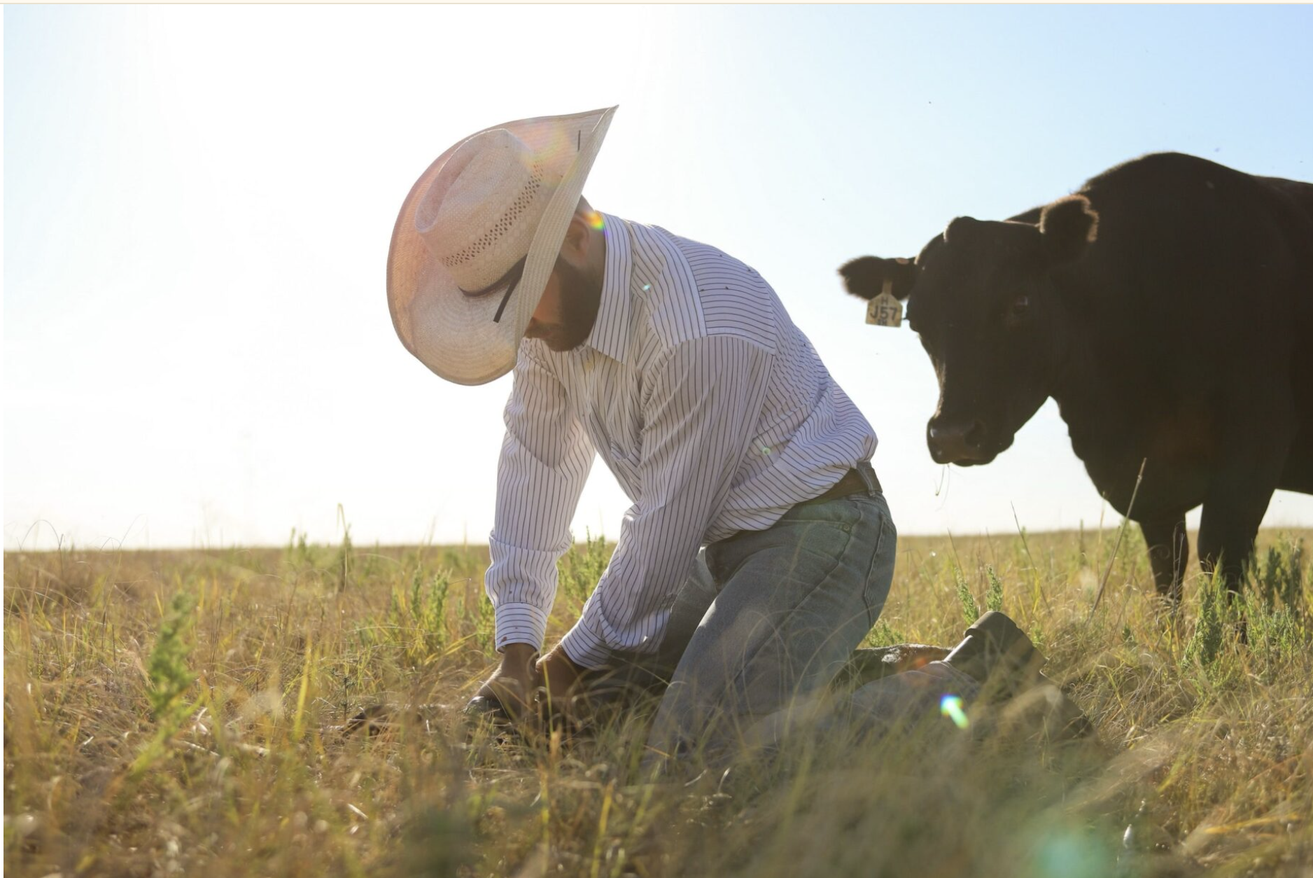  Ashland Rancher Cole Gardiner, shown here tagging a calf, is on alert for wildfires as a recent fire burned through 35,000 acres and killed about 200 calves. (Photo submitted by Cole Gardiner)