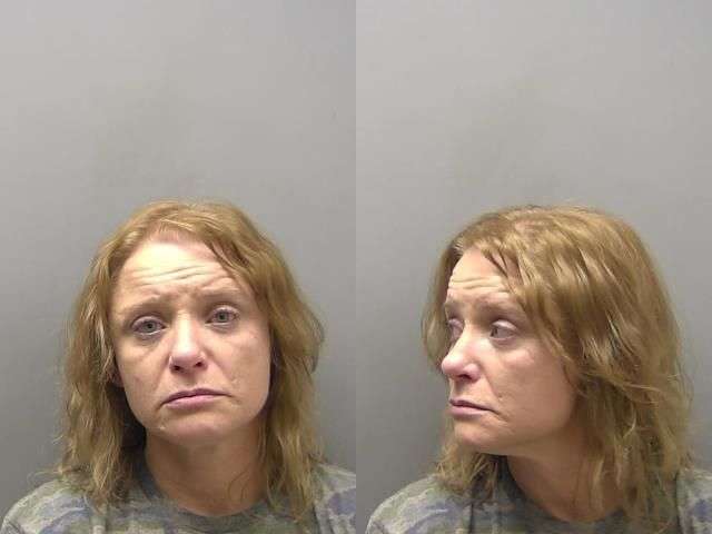 SMITH STEPHANIE DOM ASSAULT SENT 2 DAYS