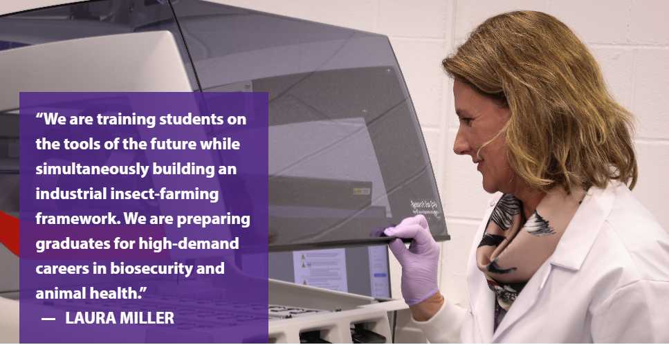 (Courtesy K-State News and Communications) 