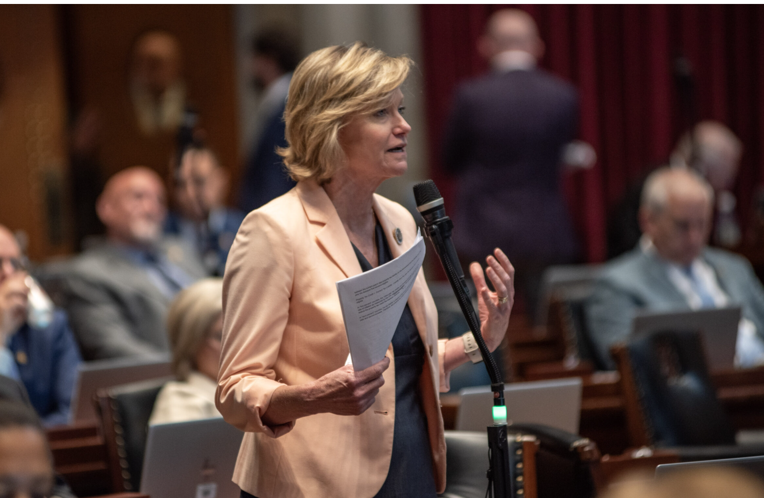 State Rep. Kathy Steinhoff, a Columbia Democrat, speaks during House debate about how property tax affects local schools (Annelise Hanshaw/Missouri Independent).