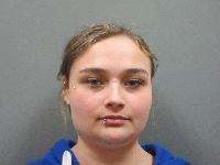 <b>Sabrina June Howell - Criminal Mischief, Failure to Appear</b>