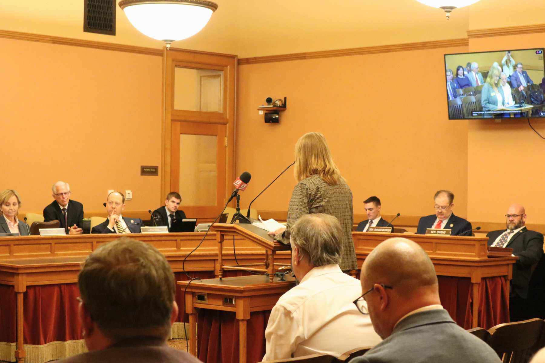 Commissioner Barb Esfeld provides testimony before lawmakers at the Kansas State Capitol during County Day at the Capitol, representing Barton County.