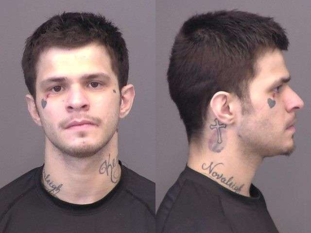 McDowell,Tristian Pacey (24)