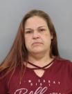 <b>Rochelle L Arneson - Probation Violation-Felony</b>