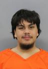 <b>Francisco Benjamin Gonzales - Commit Child Abuse Negligently-No/Minor Injury, Disturbing the Peace, Domestic Violence Assaullt-3rd-Threat-Menacing Manner</b>
