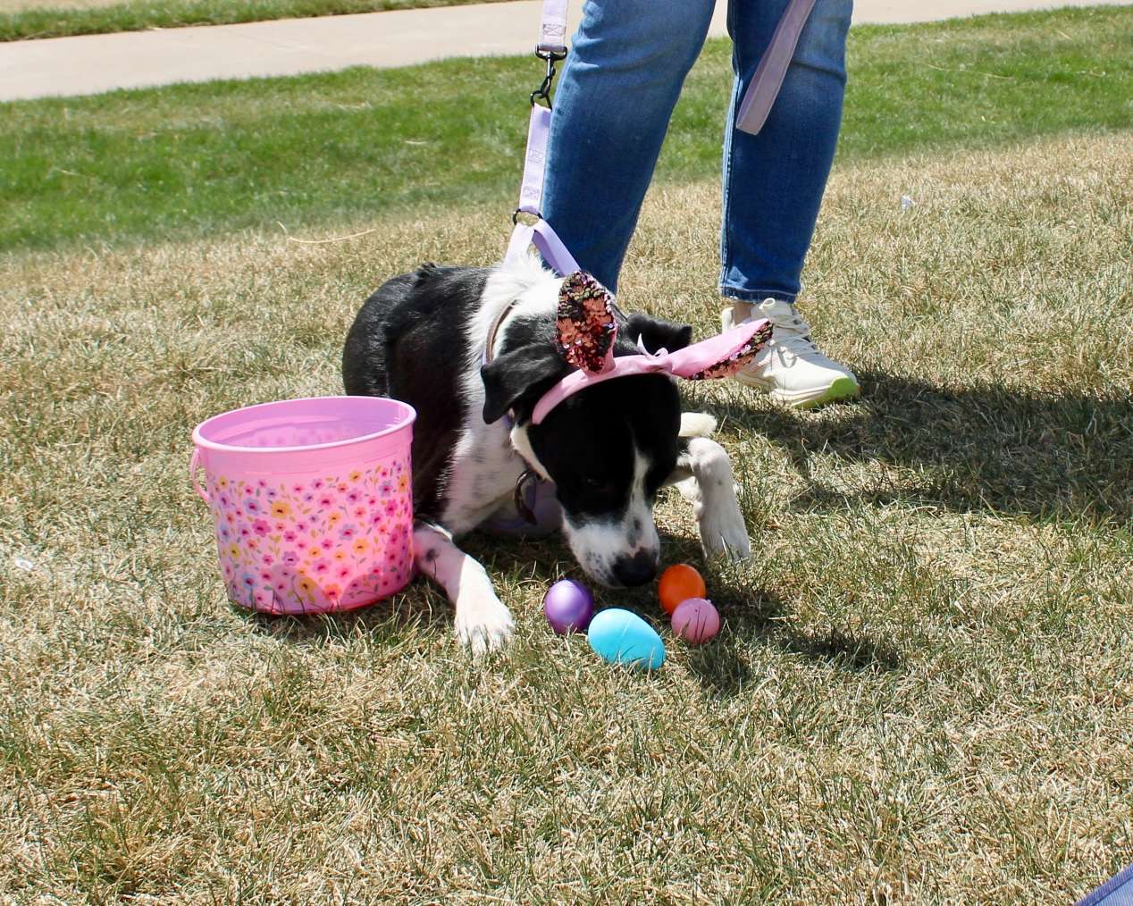 Photo by Tony Guerrero/Hays Post