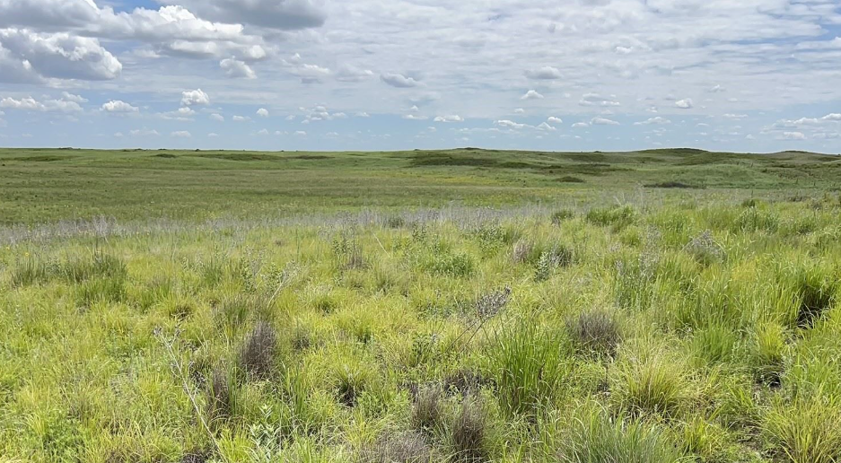 R9 Ranch in Edwards County