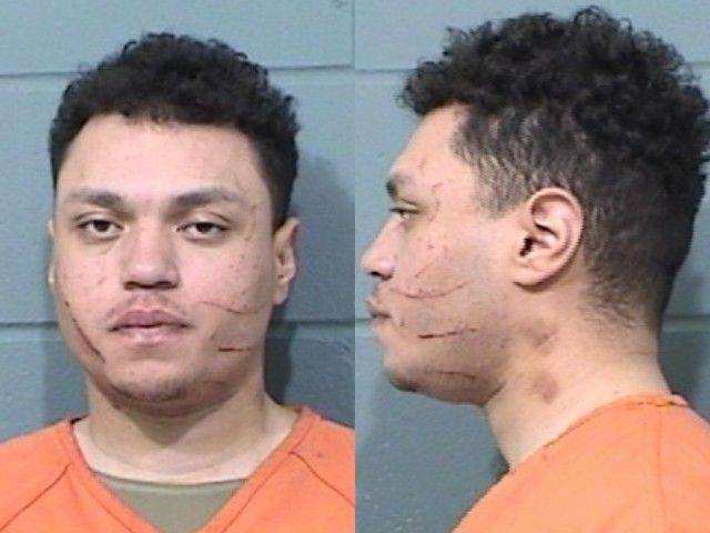 Brandon Alex, Criminal restraint; Intimidation of witness/victim; Aggravated domestic battery; Impede breath; Blocking nose/mouth of family/dating relationship; Domestic battery; Criminal deprivation of property; Criminal damage to property; Violation of protection order, arrested 03/16
