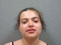 <b>Shyesha Lashay Bergen - Improper Defective Vehicle Lighting X2, Failure to Appear or Comply with Citation X2, Shoplifting, Failure to Appear, Traffic Offenses No Operators License</b>