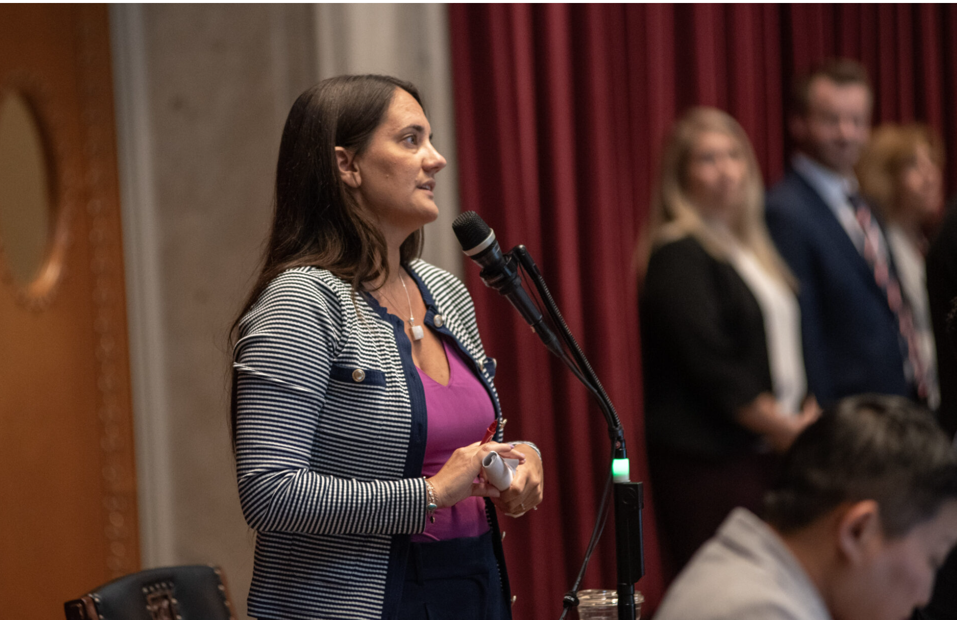  State Rep. Betsy Fogle of Springfield, ranking Democrat on the House Budget Committee, speaks on a capital improvements bill during special session in June 2025 (Annelise Hanshaw/Missouri Independent).