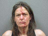 <b>Kara Ann Jackson - Public Indecency, Disturbing the Peace, Sexual Assault-Without Consent-3rd Degree</b>