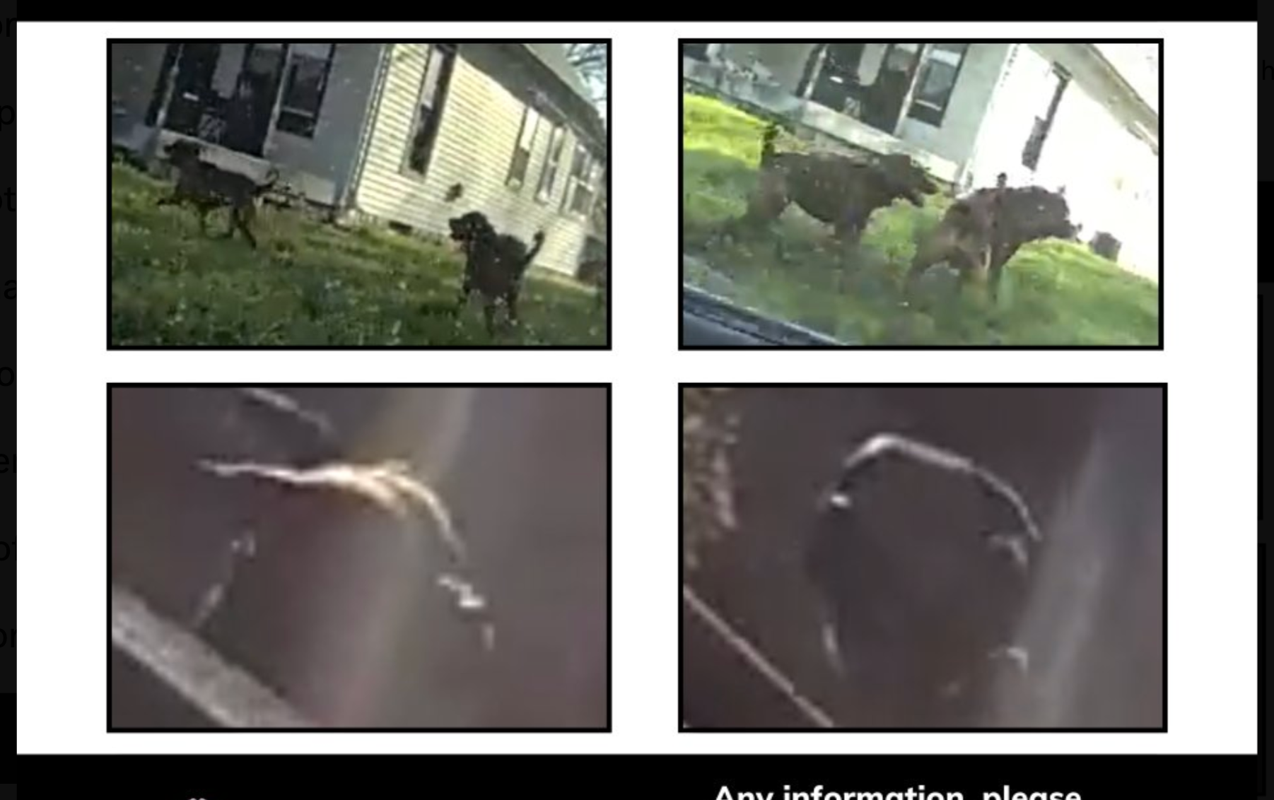 Photo Wichita Police