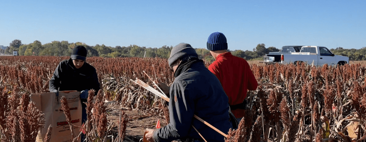 K-State Research and Extension