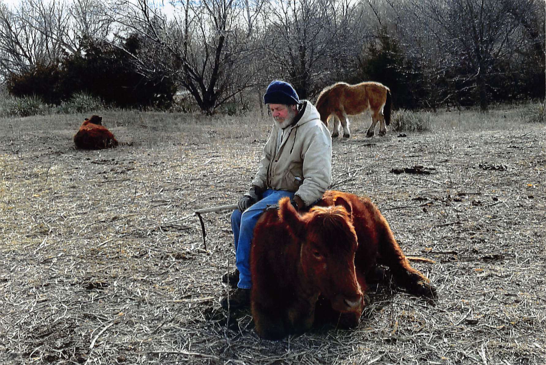 Gregory John Wiesner