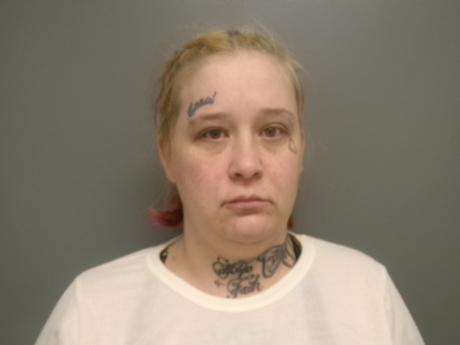 <b>Carolynn Smith - Probation Violation Assault</b>