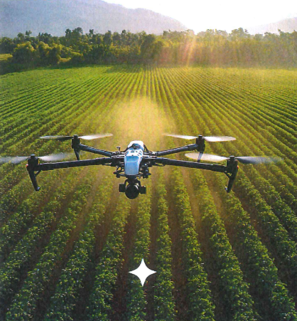 (Photo courtesy K-State Research and Extension - File Image)