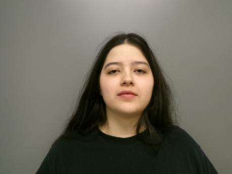 <b>Clarissa Pinedo - Driving Under Influence 1st Over .15, Possess Drug Paraphernalia</b>