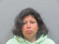 <b>Maria Alicia Perez - 2nd Degree Trespassing</b>