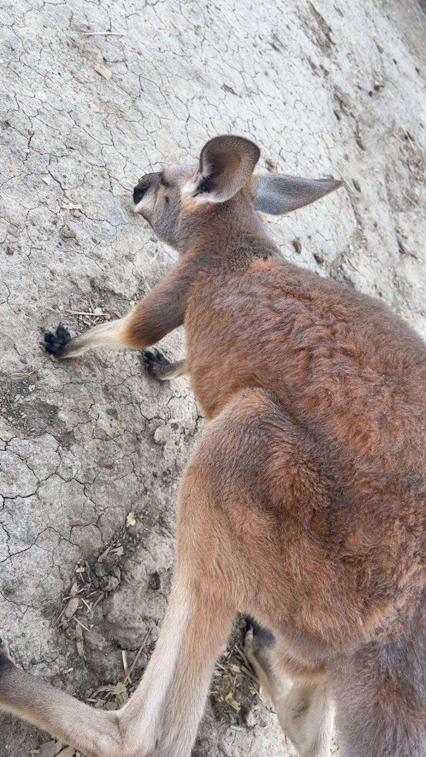 Photo courtesy Crawford County Sheriff's office