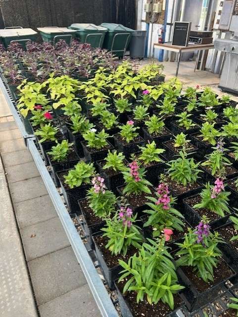 Photo Courtesy HutchCC