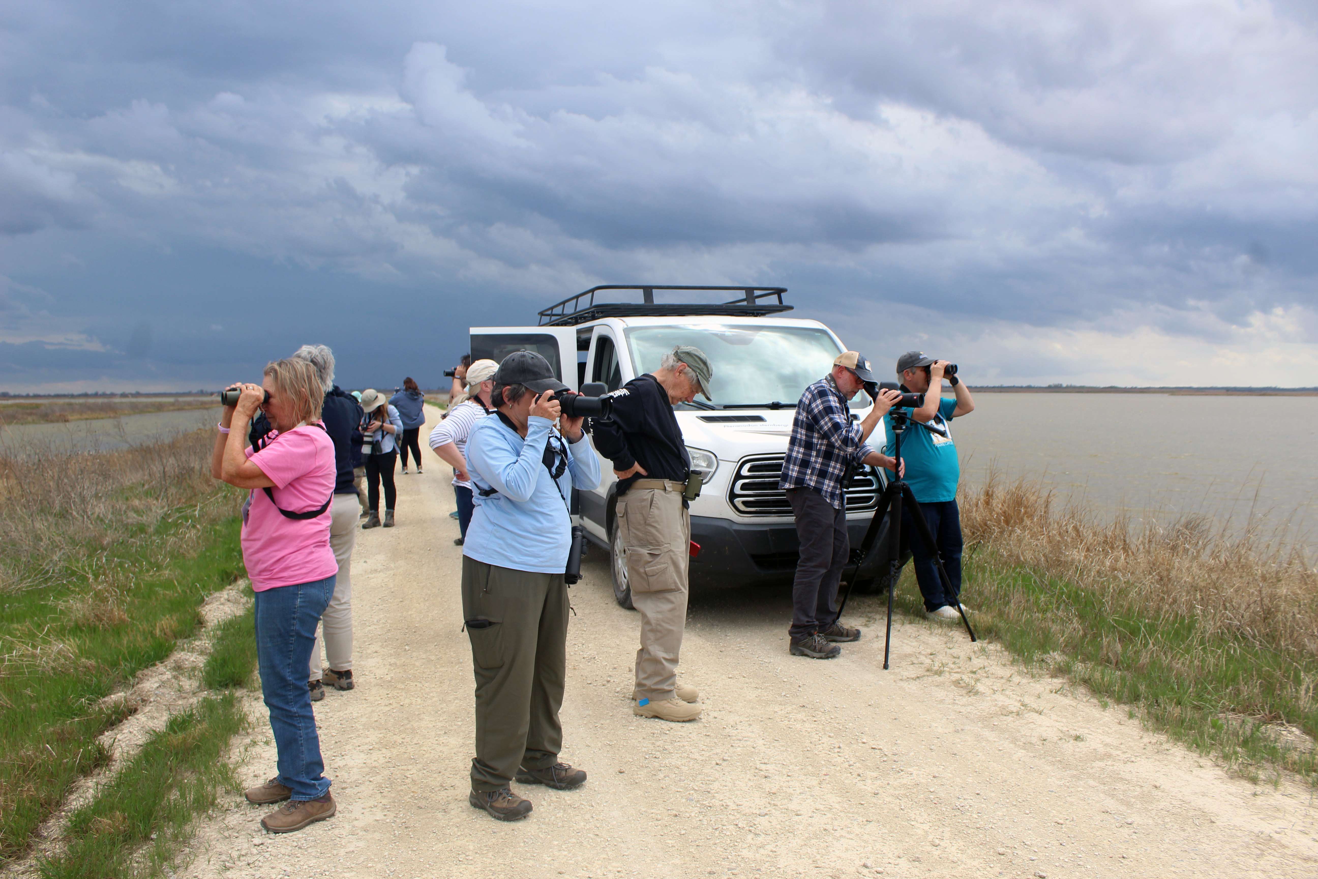 Birdwatchers on Saturday at Quivira National Wildlife Refuge, trying to get some last looks at birds before a storm rolled in. Photo by Cristina Janney/Hays Post