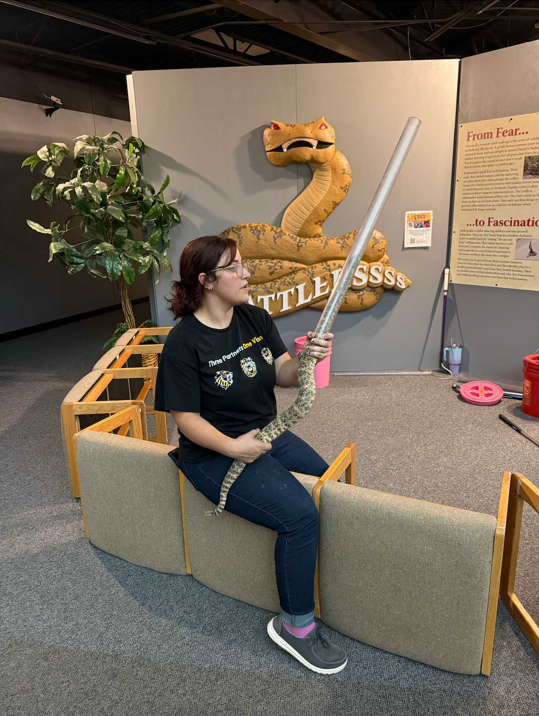 A Sternberg museum staff member handles a rattlesnake on Friday night at the museum. Lek Trek participants were allowed to touch the snake as its head was safely tucked into a tube.&nbsp;Photo by Cristina Janney/Hays Post