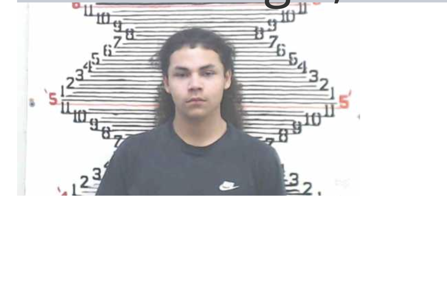 Horned Eagle -photo Brown County