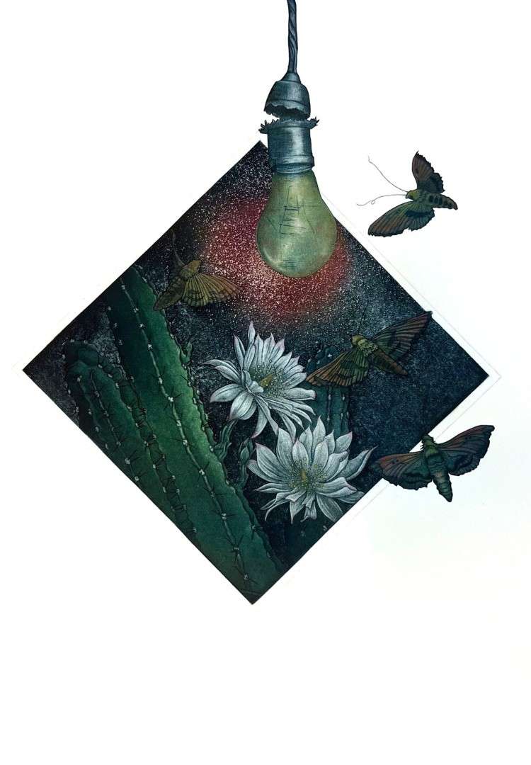 Phototaxis II (Intaglio &amp; chine collé) by Olivia Timmons, Pittsburg. Image courtesy Olivia Timmons