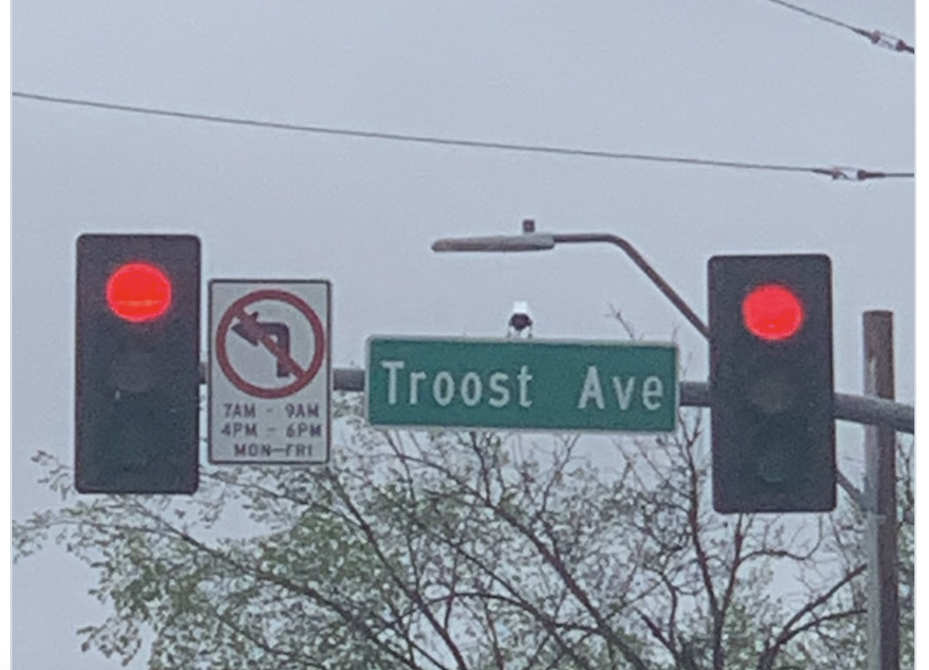 Photo Sheriff Daryl Forte'