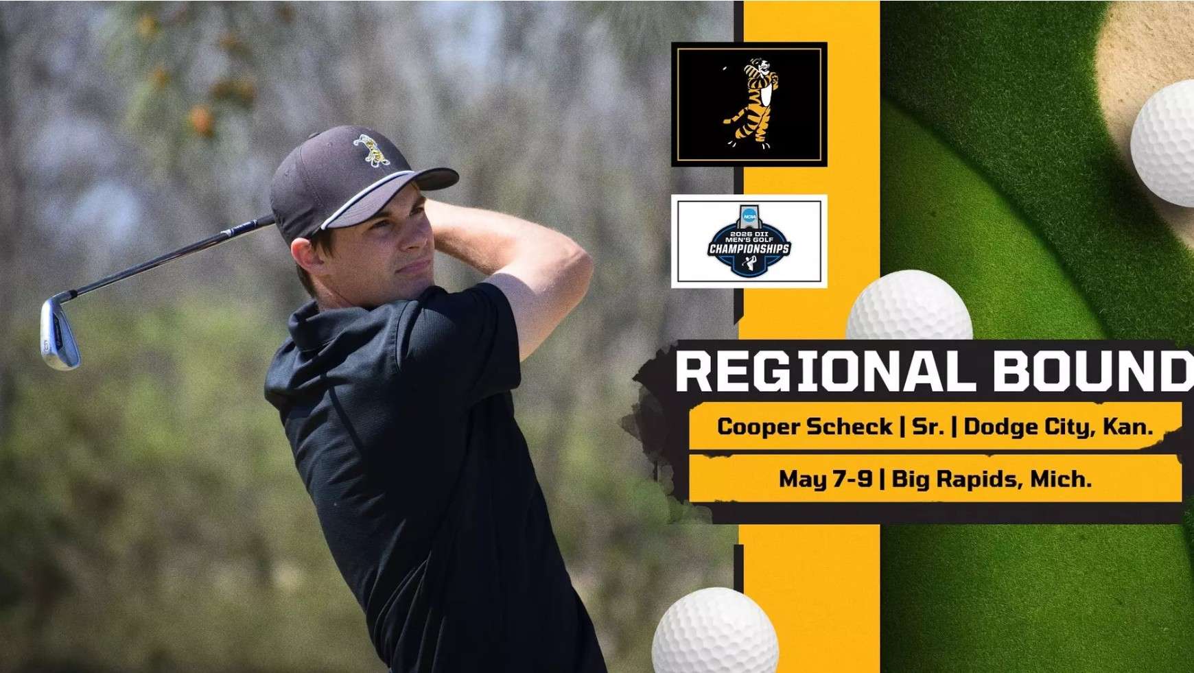 FHSU Athletics image